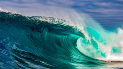 Organon Expects 2028 ‘Tidal Wave’ For Biosimilars