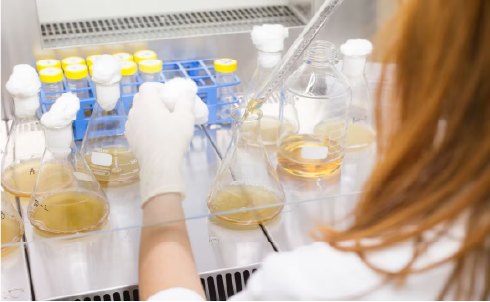 FTAs are welcome but don’t let them undermine pharma industry and drug access by Archana Jatkar