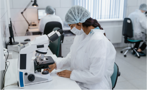 India’s Pharma Sector: A Blossoming Market