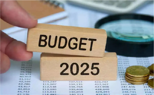 Pre Budget-2025 The Times of India